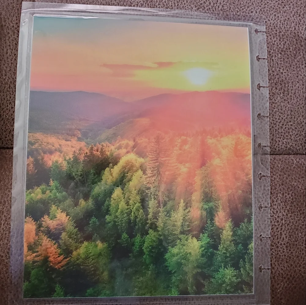 Handmade cover For A Classic Sized Disc Bound Planner mountain scenery